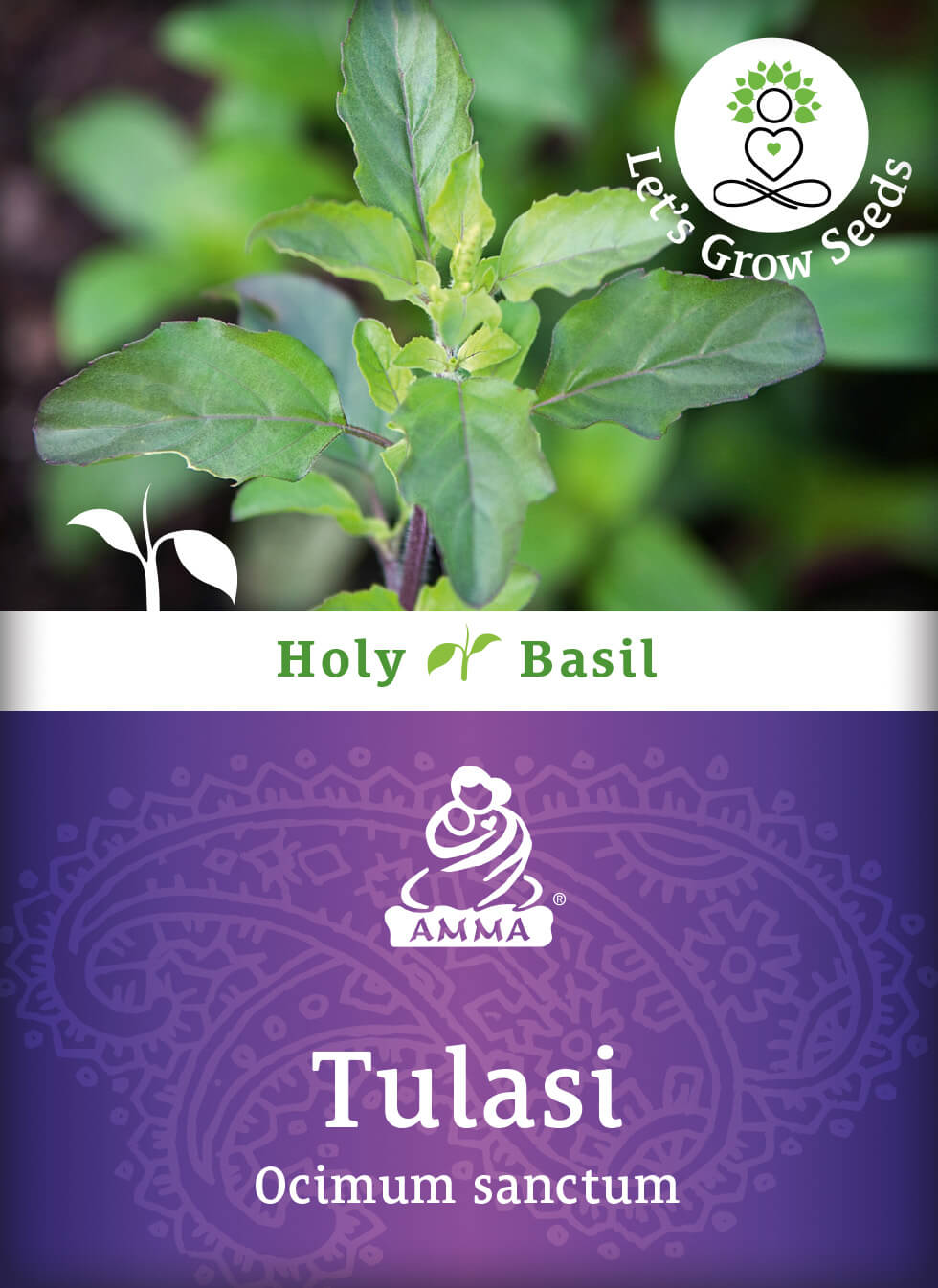 Tulsi